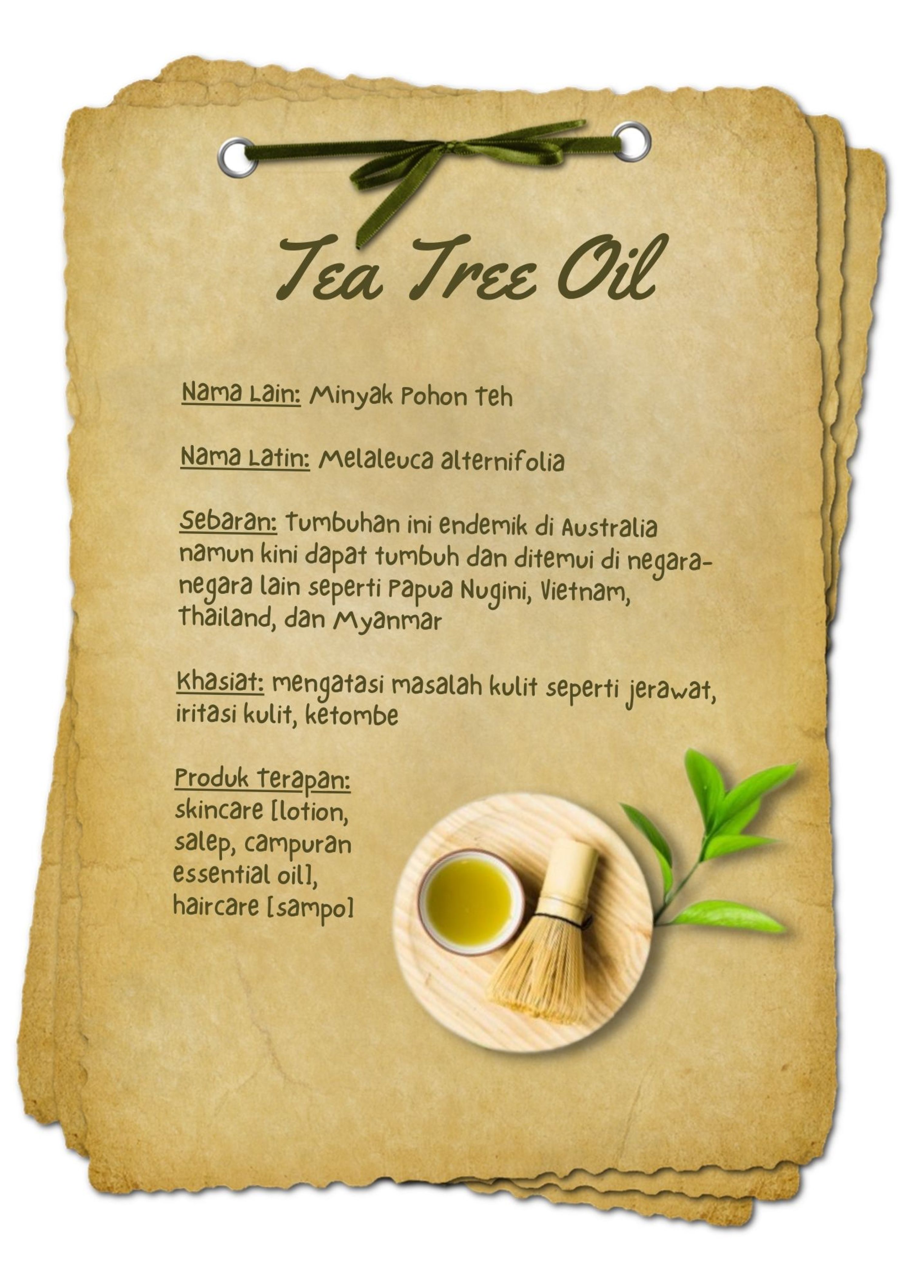 Tea Tree Oil BAHAN AKTIF.jpg